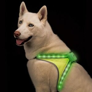 Small Dog LED Harness - USB Rechargeable